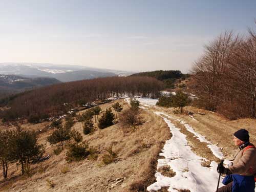 Culmea dintre Valea Rea (c) Petru Goja